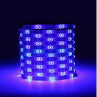 Led Strip Kit Light Rgb 5050 Dc12v 5m/10m 24keys Quantity Waterproof Luminous led strip