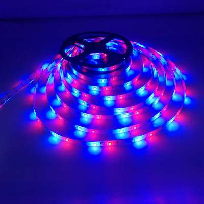 Led Strip Kit Light Rgb 5050 Dc12v 5m/10m 24keys Quantity Waterproof Luminous led strip